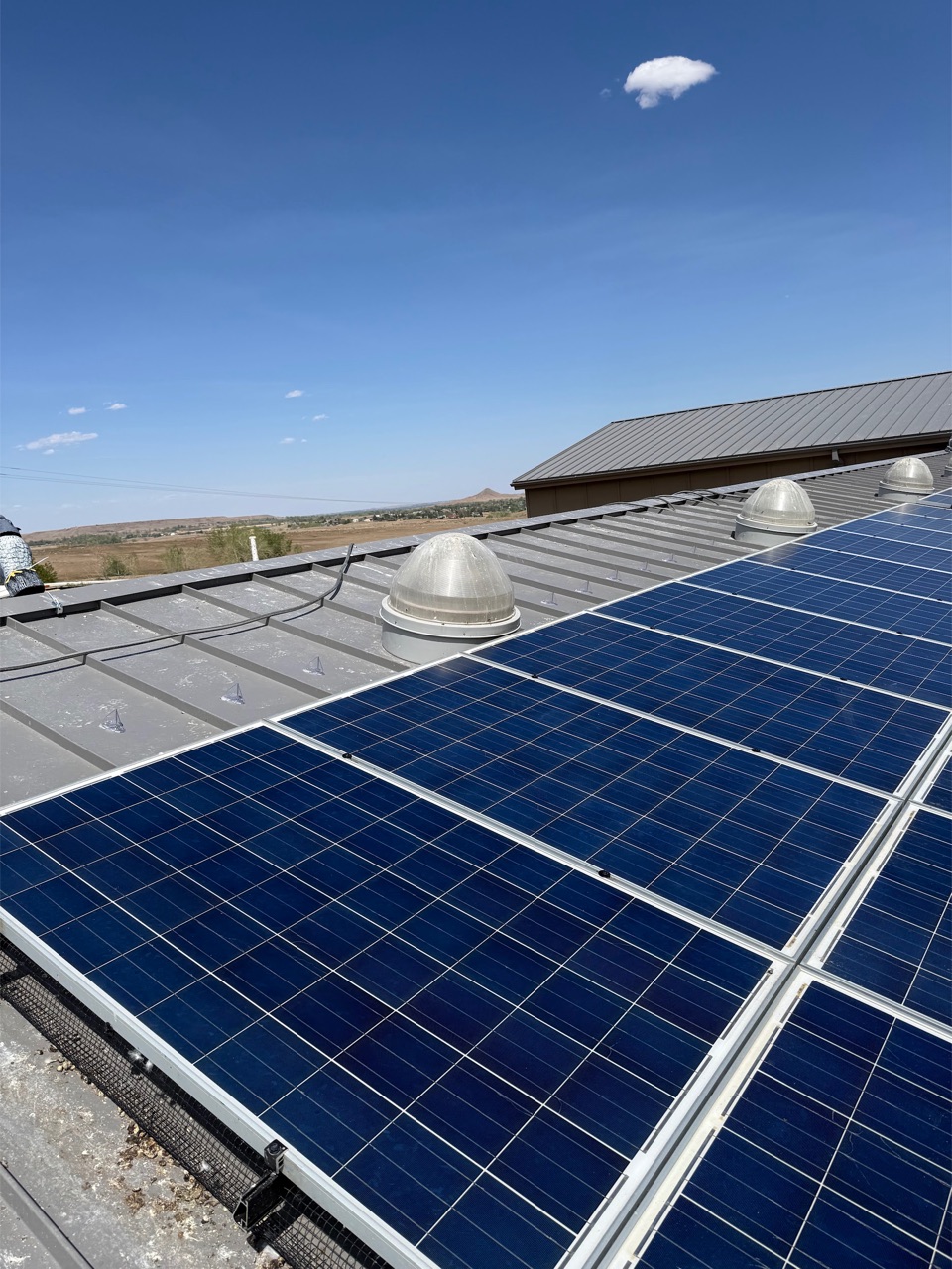Black wire mesh critter guard with clips installed along the bottom edge of solar panels on a standing-seam metal roof